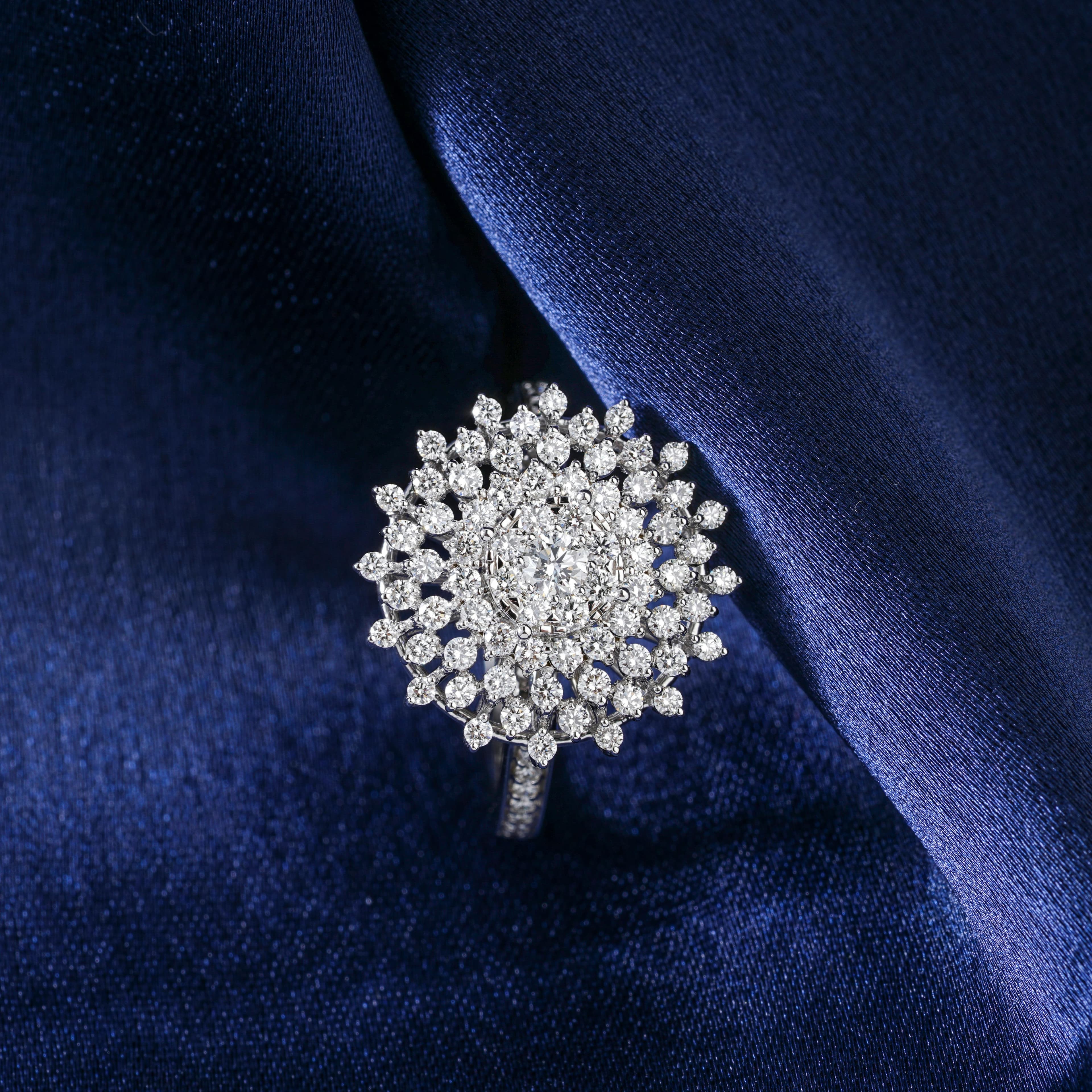 Collection Image 17